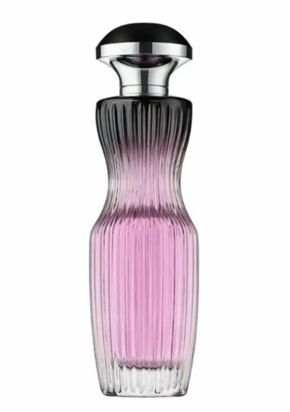 La Nuit Rose-Fragrance World